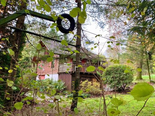 Gezellige chalet