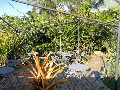 Secret Garden in Cahuita