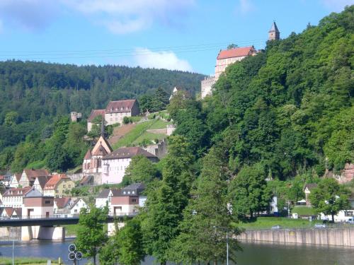 Romantisches Hirschhorn am Neckar