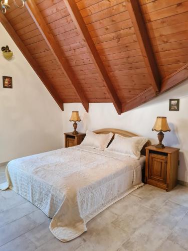 Agas Vendeghaz - main image