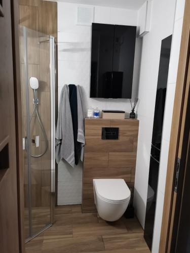 Apartament z widokiem na Zamek, Malbork (Foto 11)