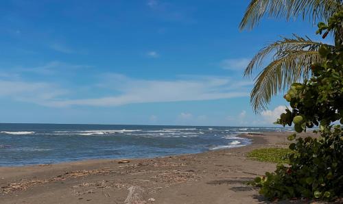 Hotel El Icaco Tortuguero