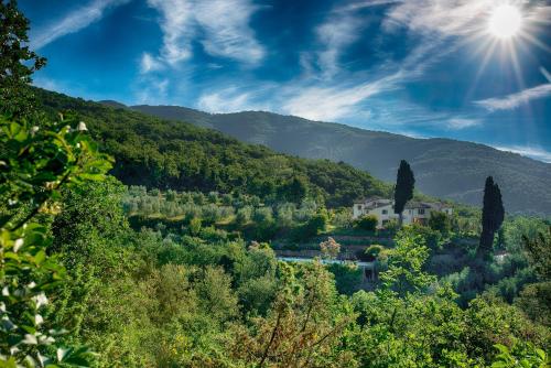  Castellina di Bocco in Castiglion Fibocchi