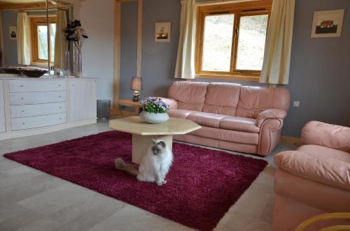 Woodlands Cottage with Hot Tub in Treignac