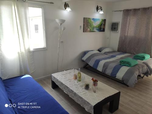 גני התניא, Safed (foto 11)