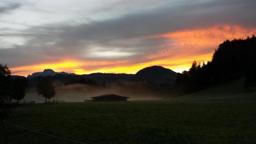Pension Wildental - image 12
