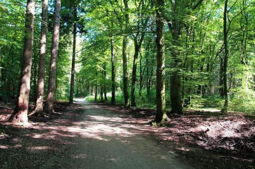 Chalet 't Veluws stulpje 'GENIET, ONTSPAN EN DROOM EVEN LEKKER WEG!'