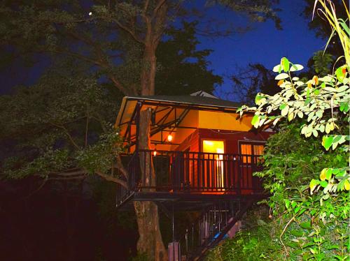 Brahmaputra Jungle Resort