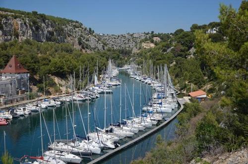 CASSIS PARADISE 1