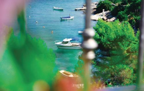 Vera in Otok Veli Drvenik