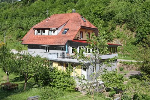 Haus Belchenwiese - Apartment - Kleines Wiesental