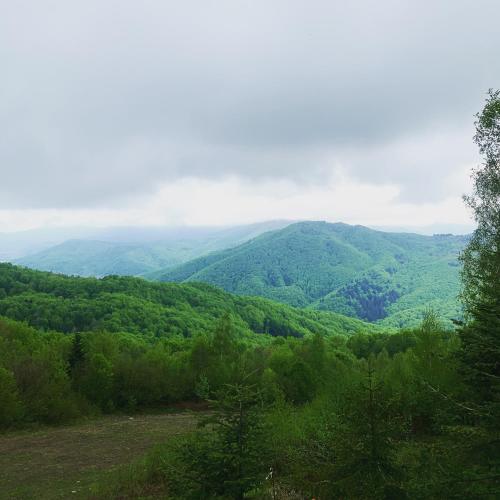 Mont Blanc Family Sporthotel