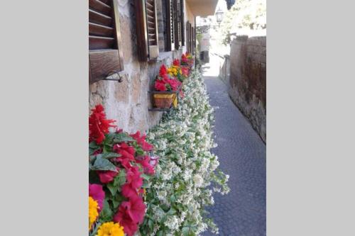 Il Gelsomino Di Isia – Orvieto, VT