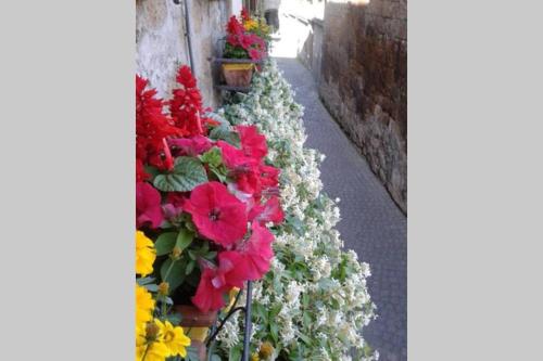 Il Gelsomino Di Isia – Orvieto, VT