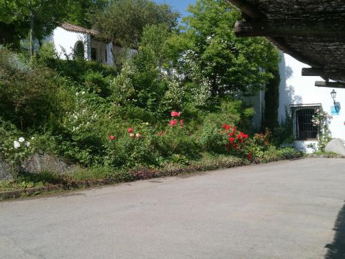 Finca Valbono Apartamentos Rurales y Hotel