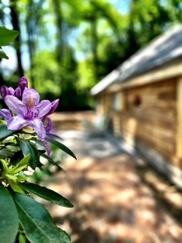 Vakantiehuisje op de Veluwe!