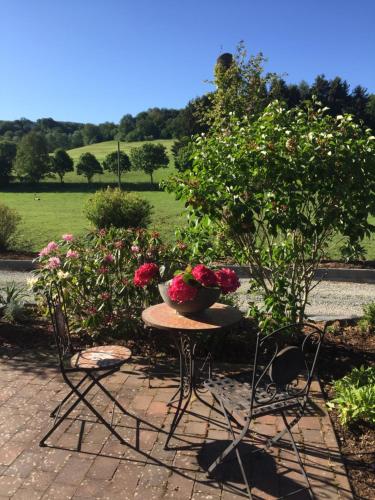 Falkennest in Dhronecken, Deutschland