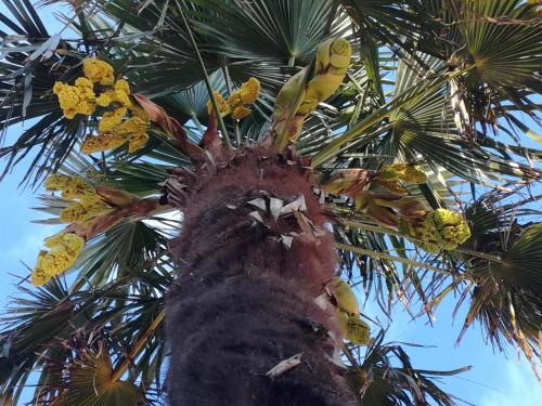 maison familiale gîte à louer Olonne-sur-Mer