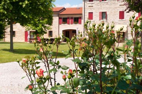 Agriturismo Prime Gemme - image 7