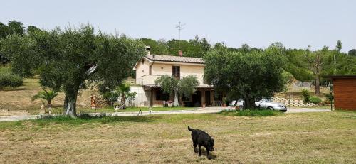 Villa Le Fonti gîte à louer Porto Sant'Elpidio