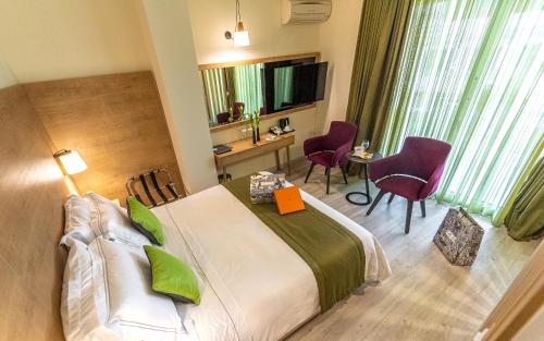 Executive Double with private Veranda Acropolis view image 9