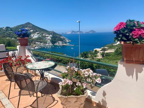 โรงแรมออร์เตนเซีย (Hotel Ortensia) in ปอนซา อิสลันด์