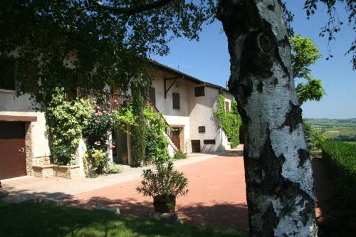 La Croix de Saburin - image 10