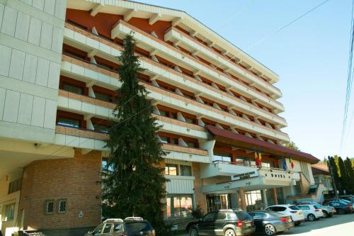 Hotel Olanesti & Spa Medical