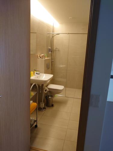 One-Bedroom Apartment image 8