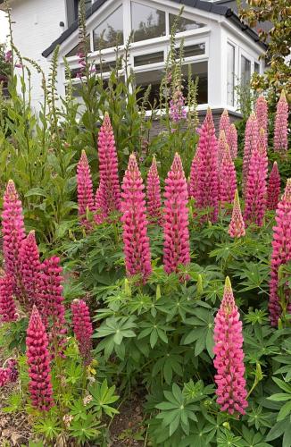 Stables Guest House - image 5