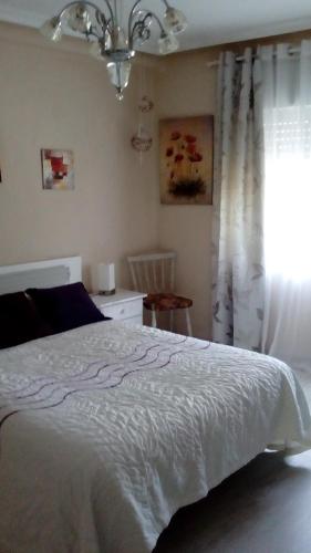  Alojamiento en Oviedo in Oviedo