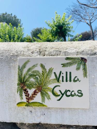 Villa Cycas Ischia