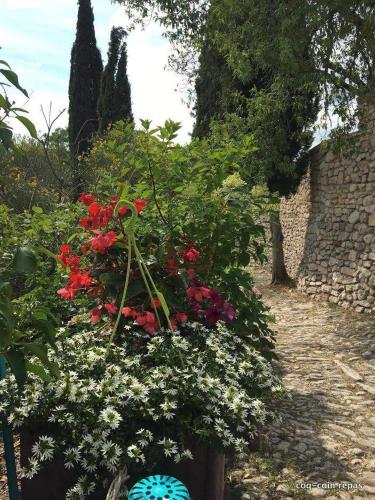 Les Magnolias - Chambre d'hôtes - Montbrun-les-Bains