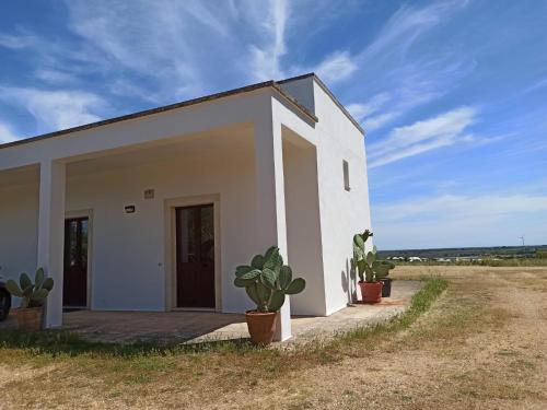 LE CASETTE gîte à louer Muzza