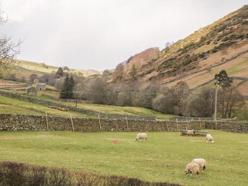 Kearton Shunner Fell