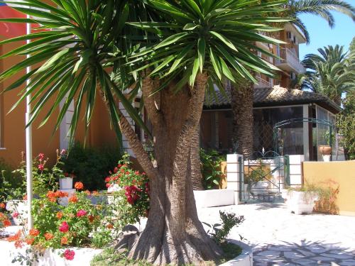 PANTHEON HALL HOTEL 3