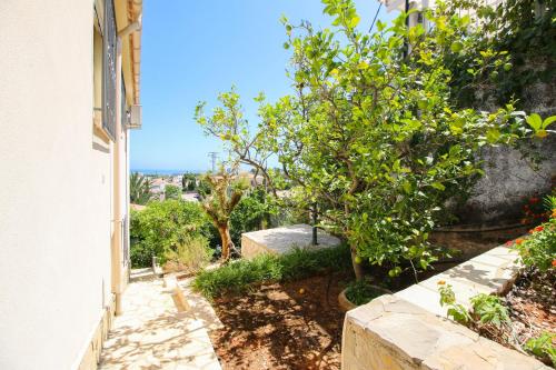Tosal Gros ST by CARLOSFERIEN - image 5