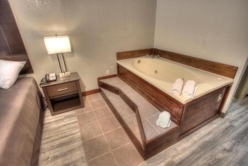 Econo Lodge Helen - 화장실