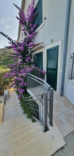  Studio Apartments Marra & Kech in Ploče