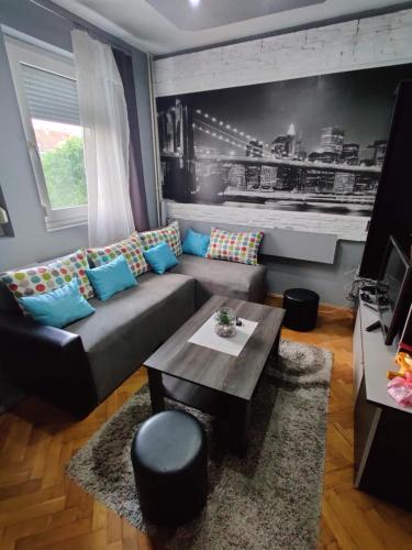 Cosy Apartmant in Novi Sad