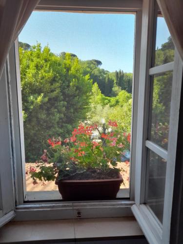 Gli Ulivi Bed & breakfast - image 9