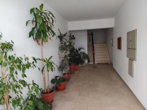  Apartamentos Bau-Doce in Cercal