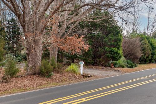 Renovated Mellow Yellow Suite A near DT Waxhaw