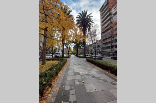 Excelente ubicacion en el Bv. mas lindo de Rosario