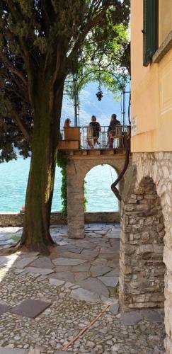  Lugano Lake, nido del cigno in Oria