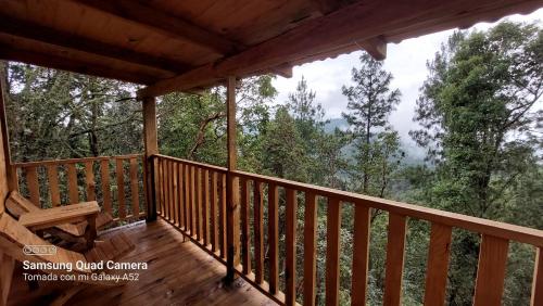 Cabana en el Bosque de San Jose del Pacifico