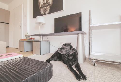 Residenza I Melograni - Suite