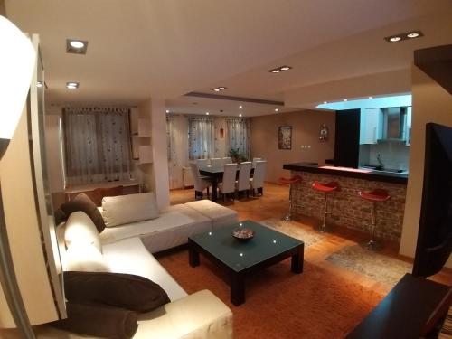 Brown Apartment - Niš Center