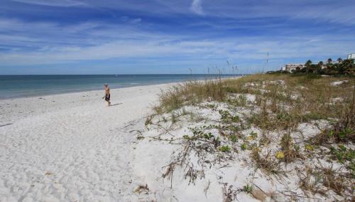 Reef Club by Teeming Vacation Rentals - main image
