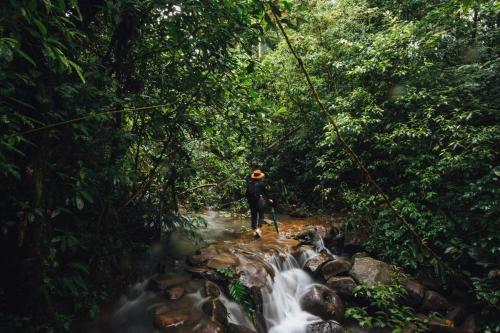 La Tigra Rainforest Lodge, Фортуна (фото 8)